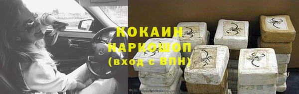 прущие грибы Нефтегорск
