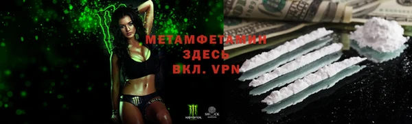 прущие грибы Нефтегорск