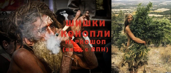 прущие грибы Нефтегорск