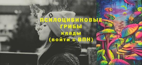 прущие грибы Нефтегорск