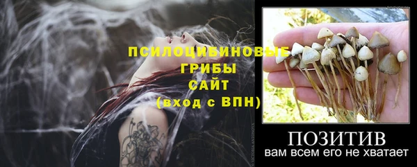 прущие грибы Нефтегорск