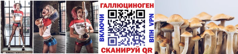 Псилоцибиновые грибы Psilocybine cubensis  Купить где  Среднеколымск 